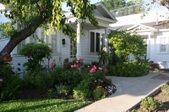 Enlarge photo 24