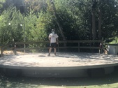 Enlarge photo 17