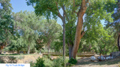 Enlarge photo 18