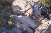 Enlarge photo 17
