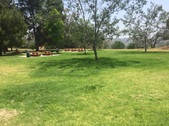 Enlarge photo 18