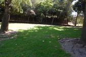 Fern Dell