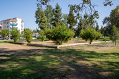 Enlarge photo 23