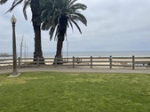 Palisades park