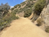 Enlarge photo 18