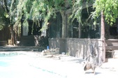 Enlarge photo 17