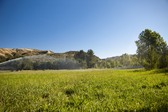 Big West Meadow