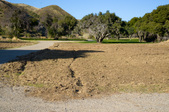 FIELDS