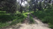 Enlarge photo 18