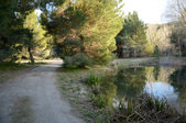 Enlarge photo 17