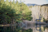 Enlarge photo 19