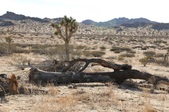 Enlarge photo 24