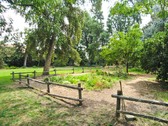 Enlarge photo 16