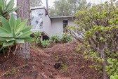 PL1518 Malibu