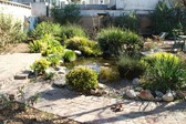 Enlarge photo 21