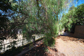 Enlarge photo 17