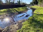 Enlarge photo 12