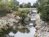 BULL CREEK LAKE BRIDGE NORTH