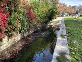 RANCHO PROVIDENCE CREEK