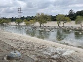 LA river by Griffith park April 4
