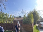 Enlarge photo 3