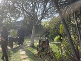 Enlarge photo 10
