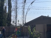 Enlarge photo 17