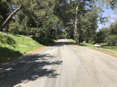 Mineral Springs picnic area Griffith