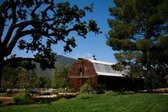 Enlarge photo 18
