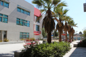 Enlarge photo 10
