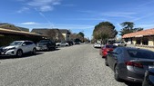 Head Snip (Newhall)