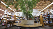 Enlarge photo 24