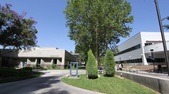 Lawn - Honor Grove