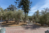Enlarge photo 4
