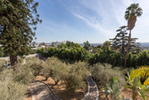 Enlarge photo 20