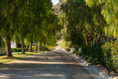 Roads, Lots & Fields