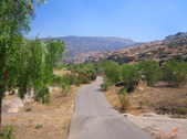 Enlarge photo 15