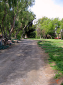 Enlarge photo 16