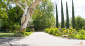 Sitting Bull Villa