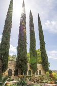 Enlarge photo 18
