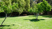 Enlarge photo 15