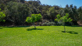 Enlarge photo 17