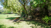 Enlarge photo 19