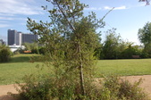 Enlarge photo 4