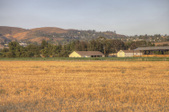 Agriculture