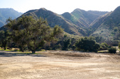 Ponds and Open Space