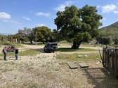 Enlarge photo 19