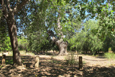 Enlarge photo 23