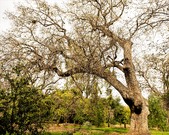Enlarge photo 3