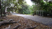 South Coast Botanical Gardens